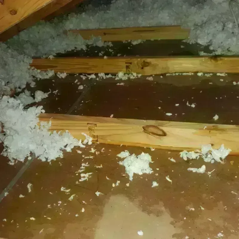 Attic Water Damage in Lake Los Angeles, CA