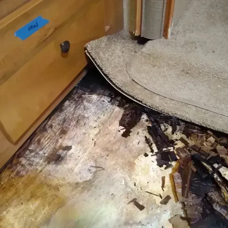 Wood Floor Water Damage in Lake Los Angeles, CA